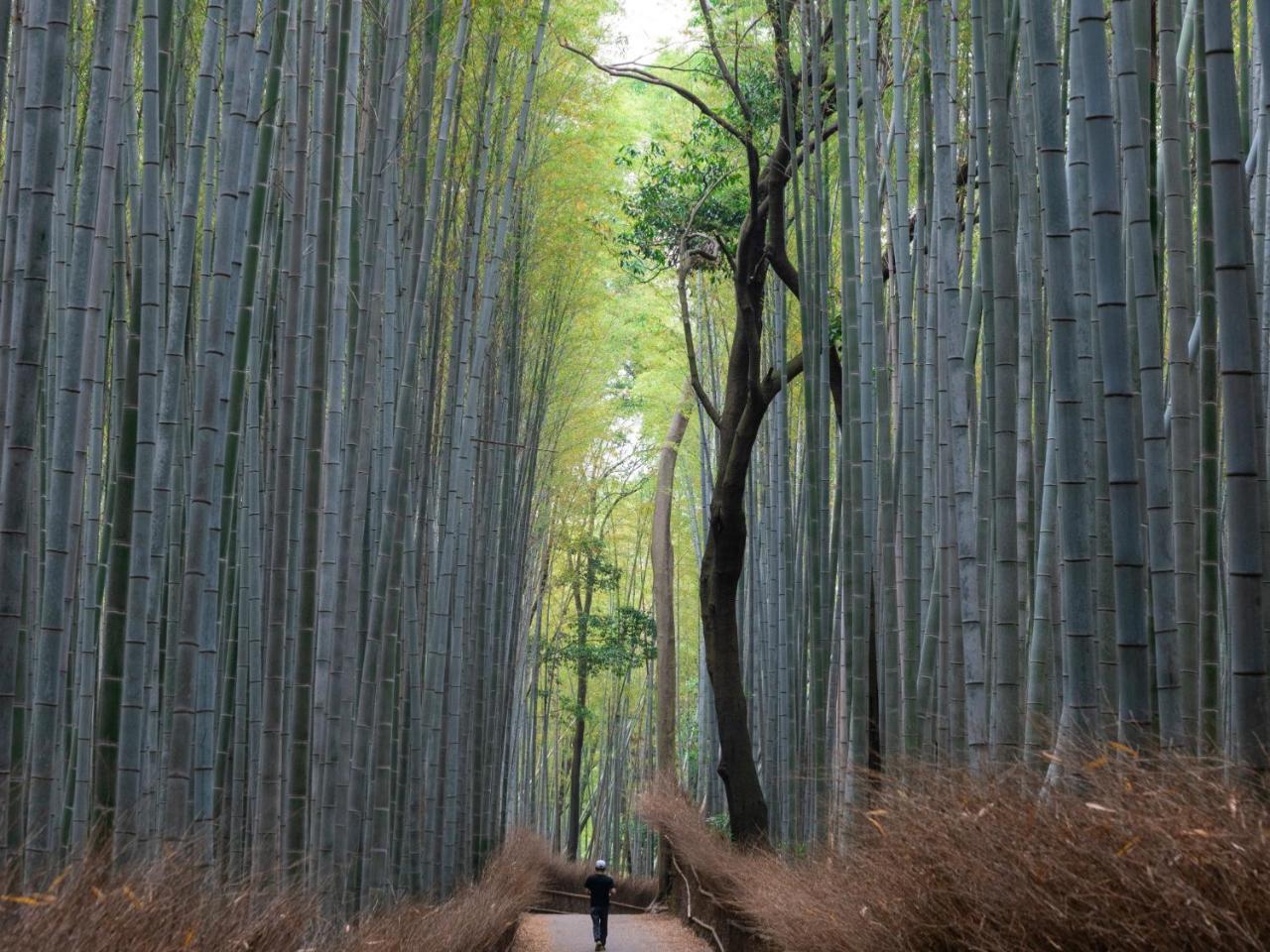 Stay Marutamachi Kioto Exterior foto