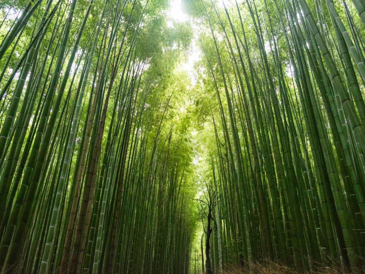 Stay Marutamachi Kioto Exterior foto